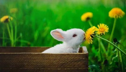 《午夜黎明》Beta测试12.0.1版本热修补丁：死亡骑士、萨满与牧师职业调整